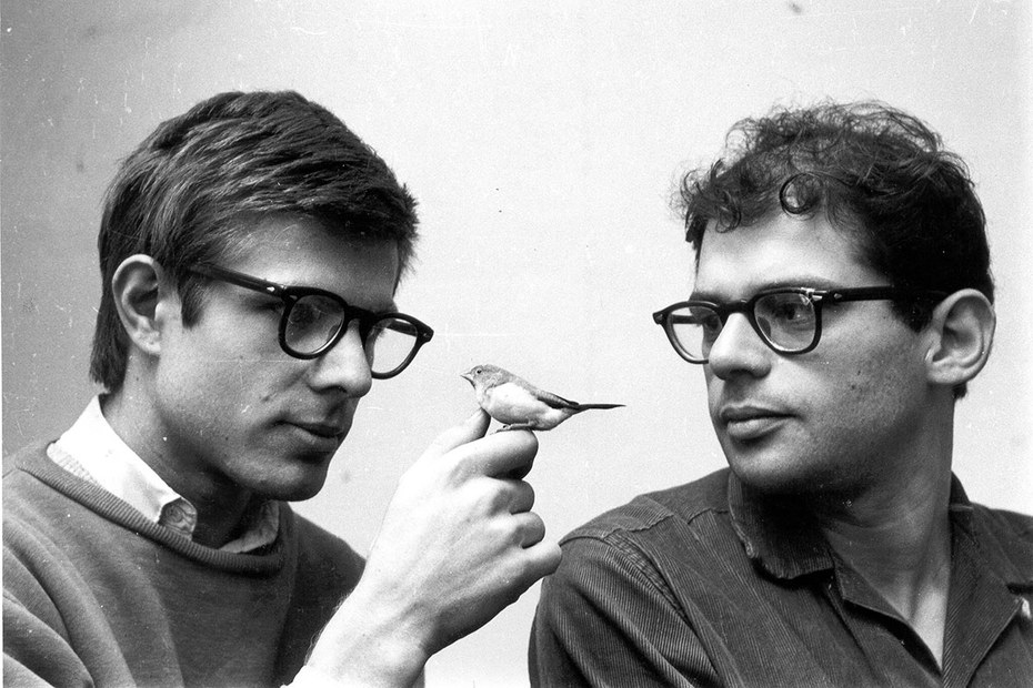Die Beat-Poeten Peter Orlovsky und Allen Ginsberg(1956)