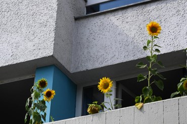 Wohnungskrise in deutschen Städten: Sind ja nur Mieter