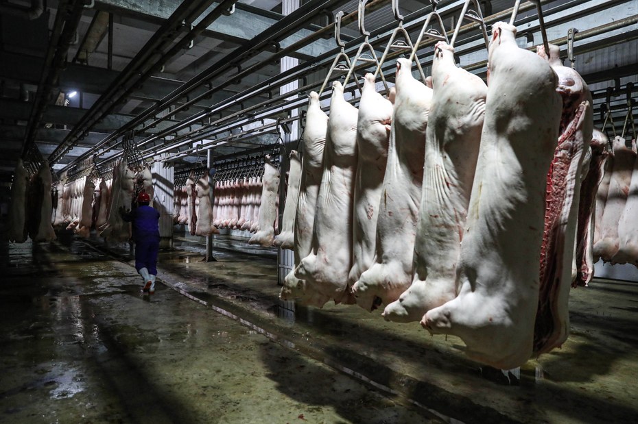Eine Fleischfabrik in China: Weltweit werden jährlich 116 Millionen Tonnen Schweinefleisch produziert