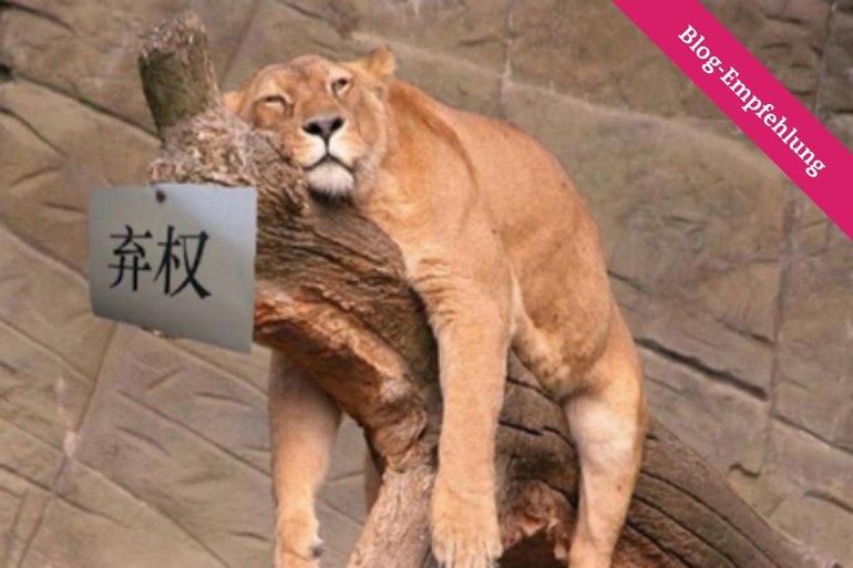 China, der liebe Löwe