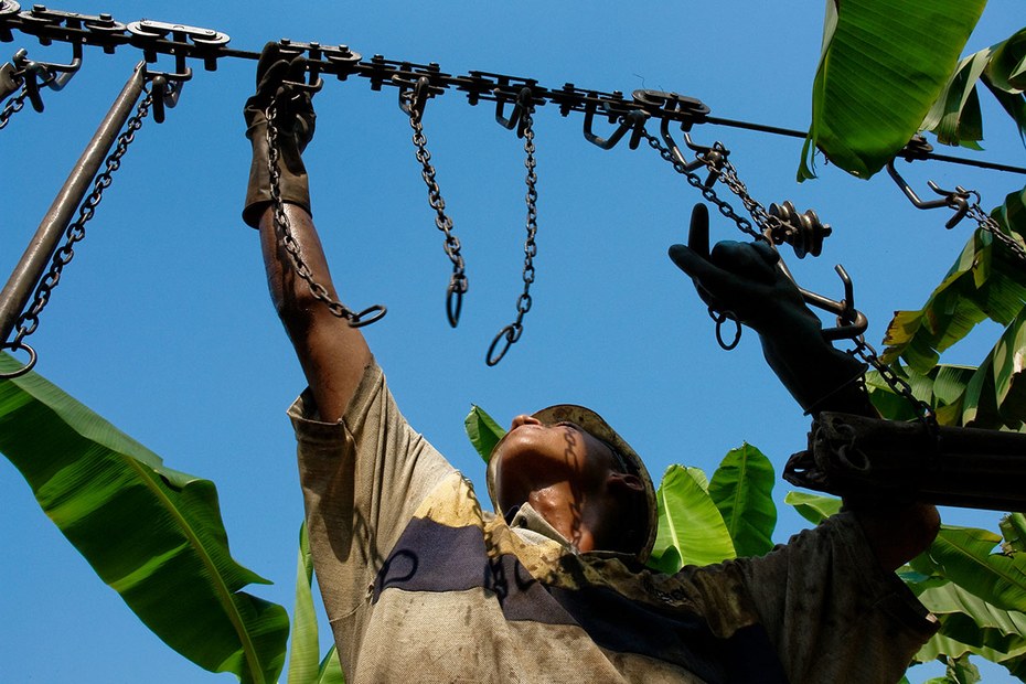 Bananenernte in Kolumbien: Das Lieferkettengesetz soll nur für Firmen ab 1.000 MitarbeiterInnen gelten