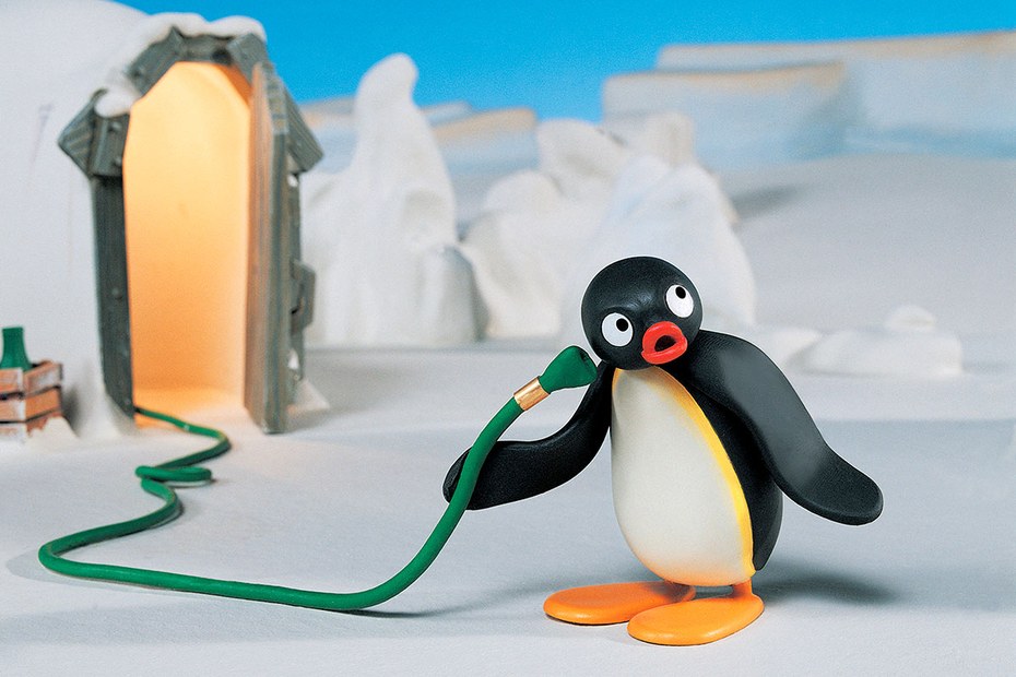 Zwei Pinguin-Weibchen werden Eltern, nachdem sie Ei adoptierten - FOCUS  online
