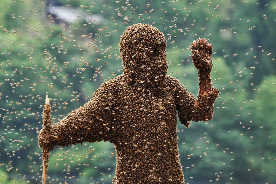 Bei den Bienen ist Volkstümelei schon immer angesagt, allerdings folgt ihre Gruppenmitgliedschaft auch nachvollziehbarer Biologie