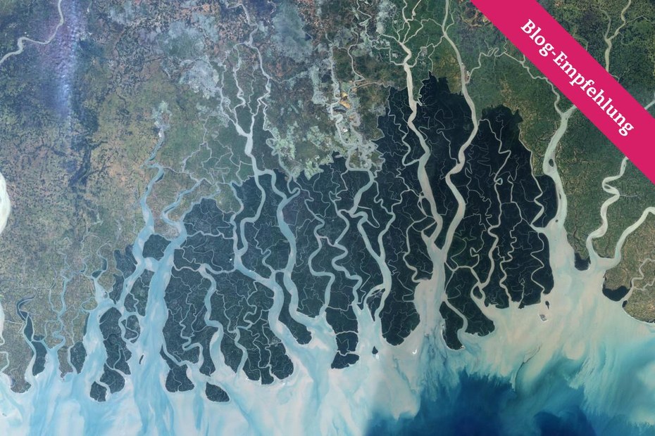 Die Sundarbans von oben
