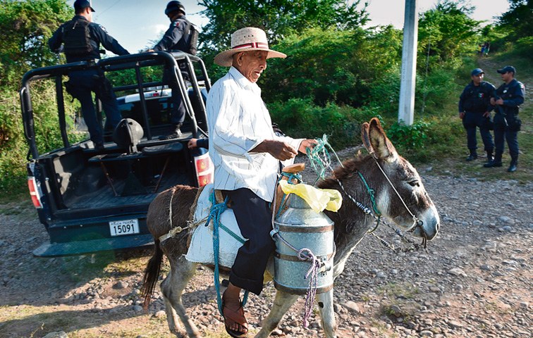Mexikanische Landwirte sind heute immer noch oft wie Sancho Panza unterwegs