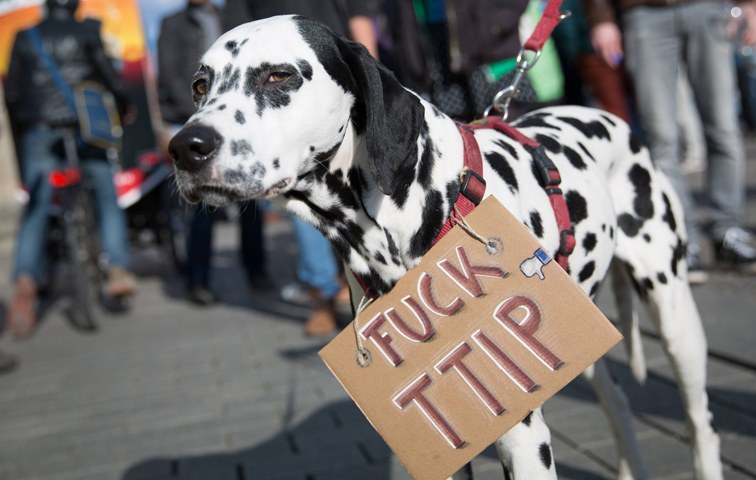 Tierisch sauer: die TTIP-Protestbewegung