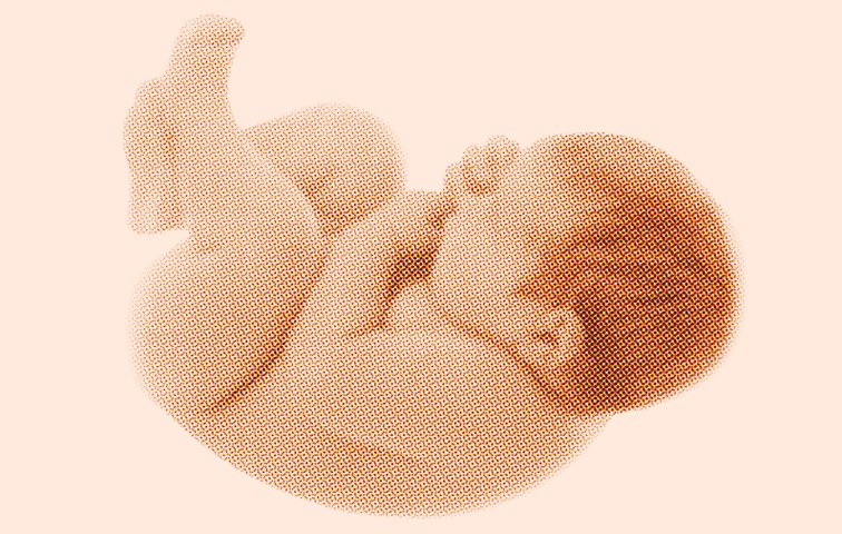 Die Wissenschaftler experimentieren erstmals am Erbgut menschlicher Embryonen