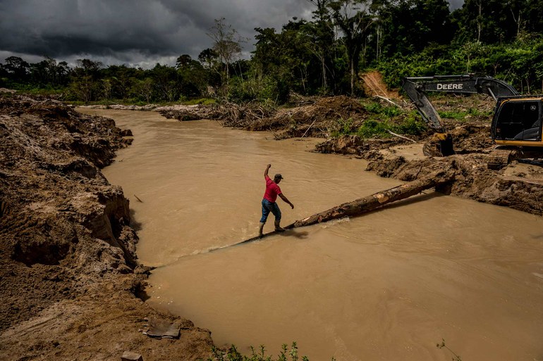 Illegale Waldrodungen in Brasilien: Mit Gold bestochen