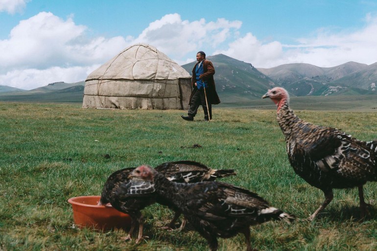 Reisen nach Kirgistan: Auf den Spuren von Tschingis Aitmatow
