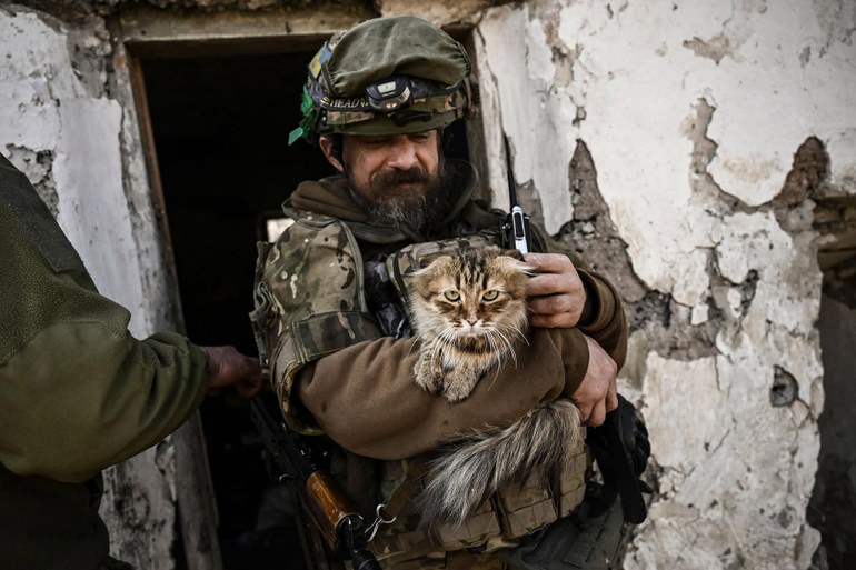 Katzen und Ratten im Schützengraben: Wie der Mensch Tiere für seine Kriege einsetzt