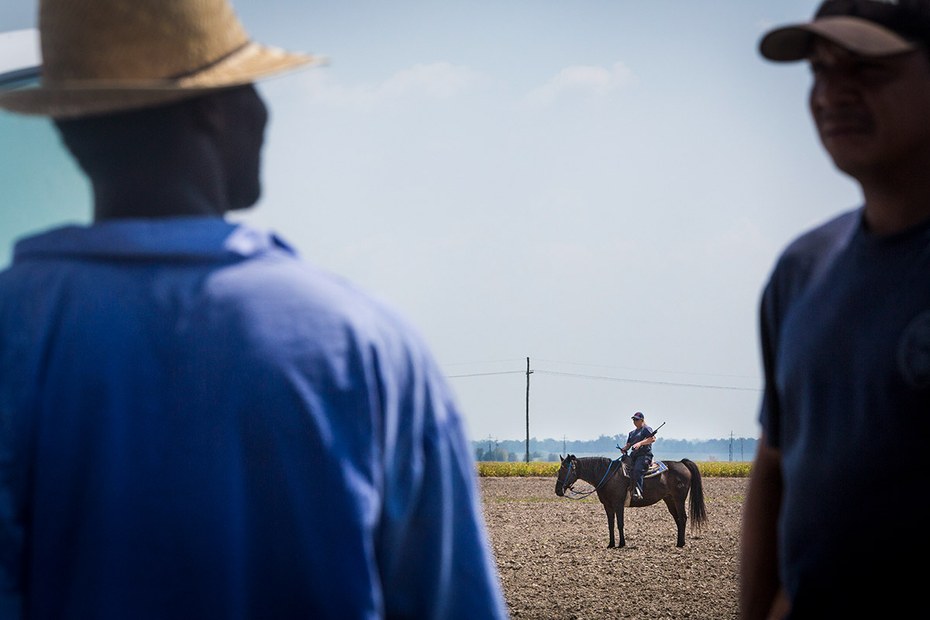 In der Haftanstalt „Angola“ (Louisiana) schuften schwarze Sträflinge in der Landwirtschaft