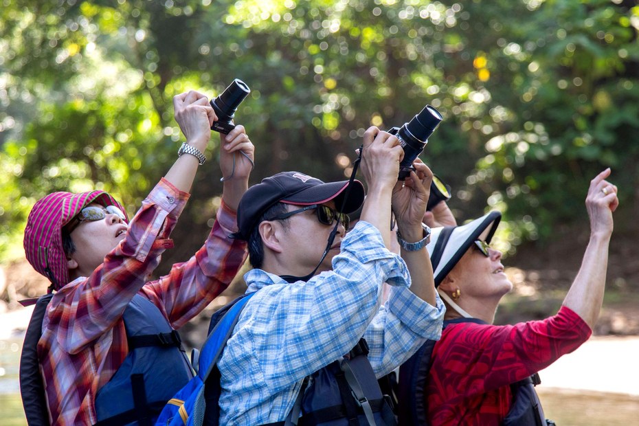 Touristen in Muelle San Carlos (Costa Rica) fotografien Affen in den Bäumen