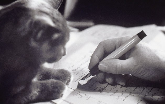 Für die Katz sind die Briefwechsel aus dem vorigen Jahrhundert auch heute nicht, der vorliegende Band beweist es