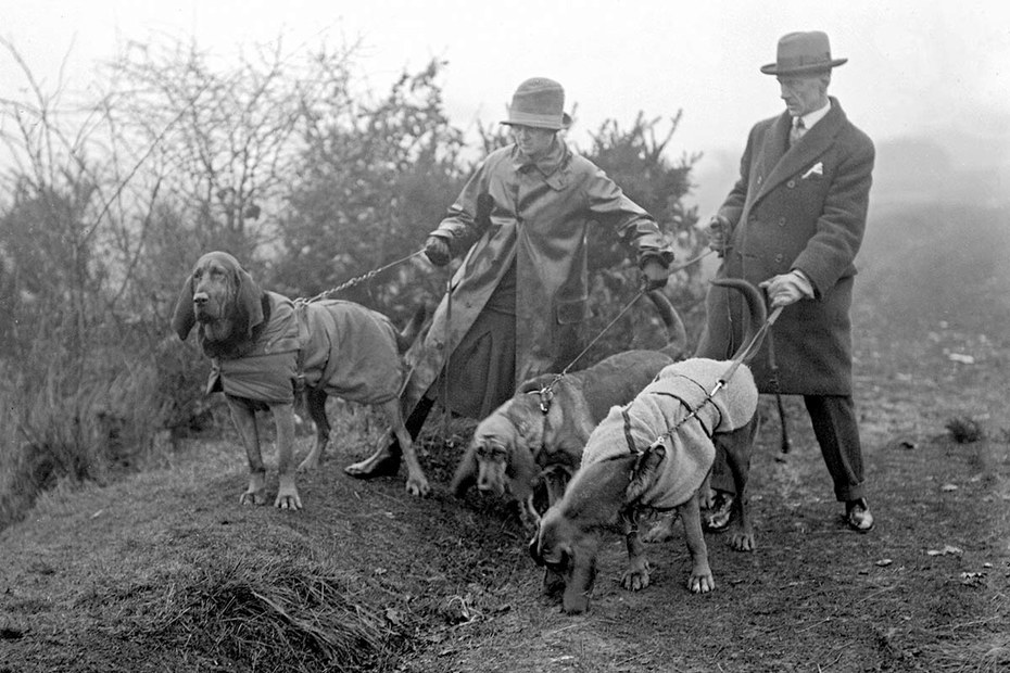 Die Zeitungen riefen zur Suche, doch nicht einmal Bluthunde konnten Agatha Christie im Dezember 1926 aufspüren