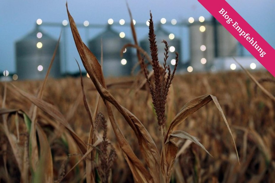 Eine Biotreibstofffabrik: Das Prinzip "Ethanol statt Nahrung" hat unangenehme Nebenwirkungen