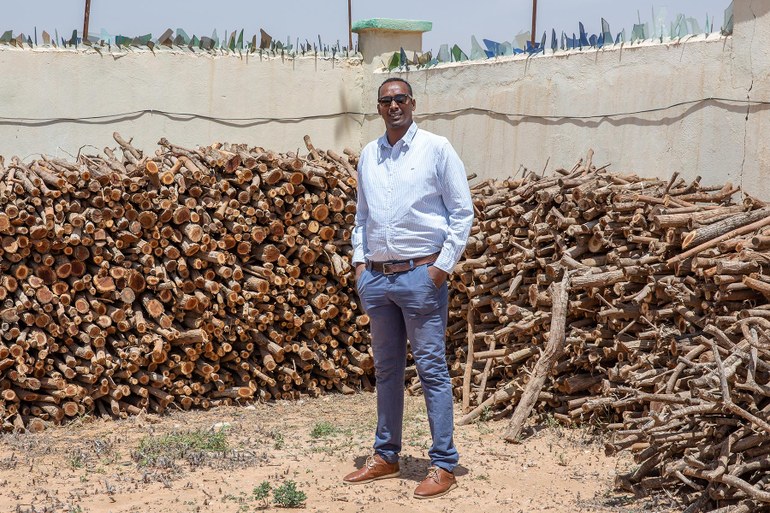 Somaliland: Prosopis-Baum ist für Ostafrika Fluch und Segen zugleich