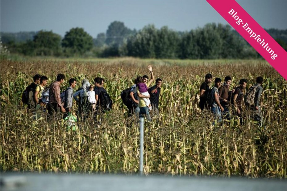 Flüchtlinge an der serbisch-ungarischen Grenze