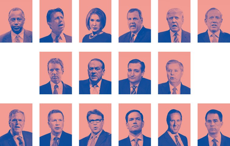 15 Männer und eine Frau: Gegen einen dieser Kandidaten müssen sich die Demokraten durchsetzen