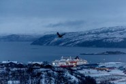 Vier Stunden Zwielicht und 20 Stunden Nacht: Zu Besuch im norwegischen Kirkenes