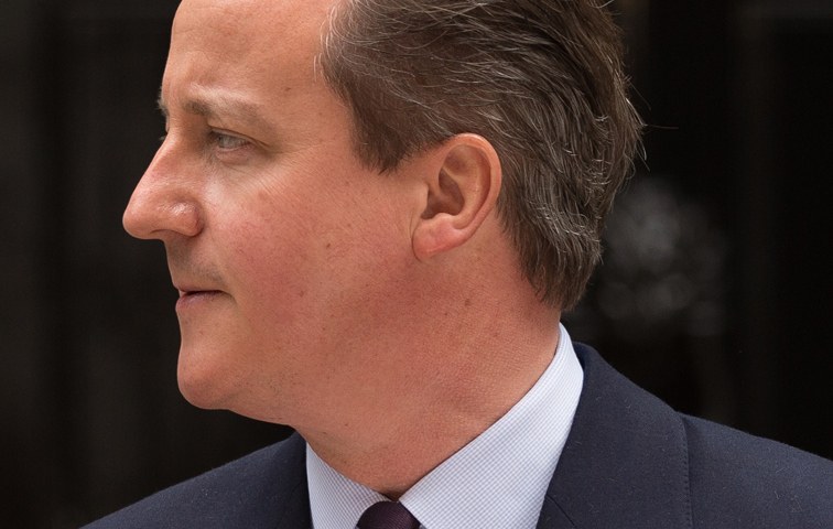 David Cameron hat bereits angekündigt, das Referendum kommendes Jahr durchführen zu wollen