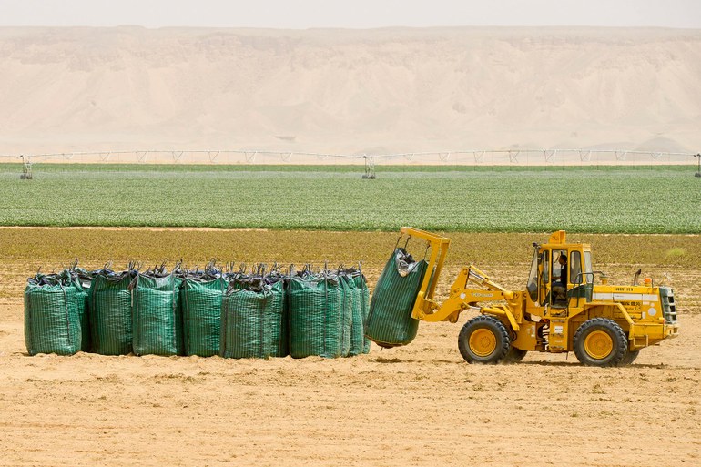 Grundwasser: Wie ägyptische Kartoffeln die Erdachse verschieben