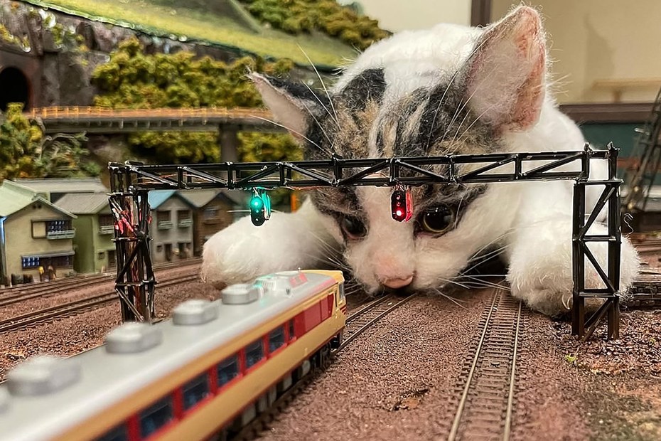 Ob wegen einer Katze auf den Schienen oder streikender Lokführer: Hier fährt heute nix!