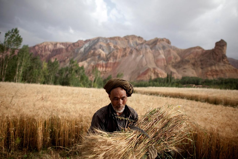 Ein afghanischer Bauer bei der Getreideernte. So wie er ist knapp die Hälfte der Weltbevölkerung beschäftigt
