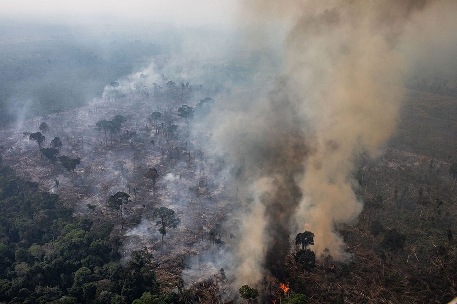 Der brennende Amazonas-Regenwald mit seiner Biodiversität und seinen Wasservorräten ist nicht weniger als ein Symbol für den Niedergang unserer Erde