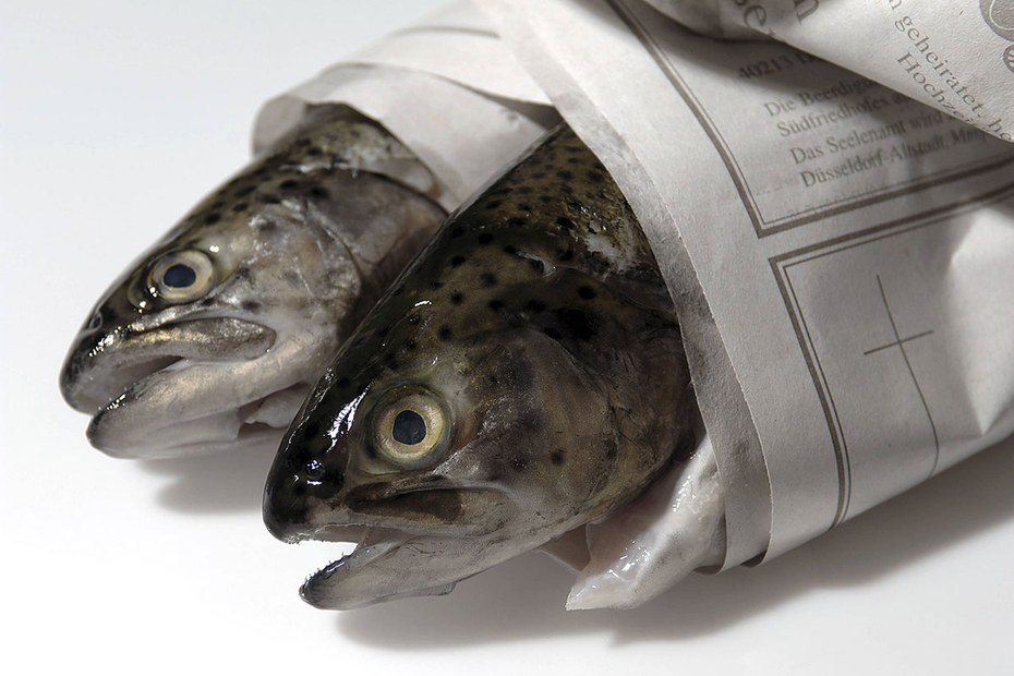 Morituri te salutant: Verstorbene Fische tun ihre letzte Reise in den Todesanzeigen eines dahinsiechenden Mediums