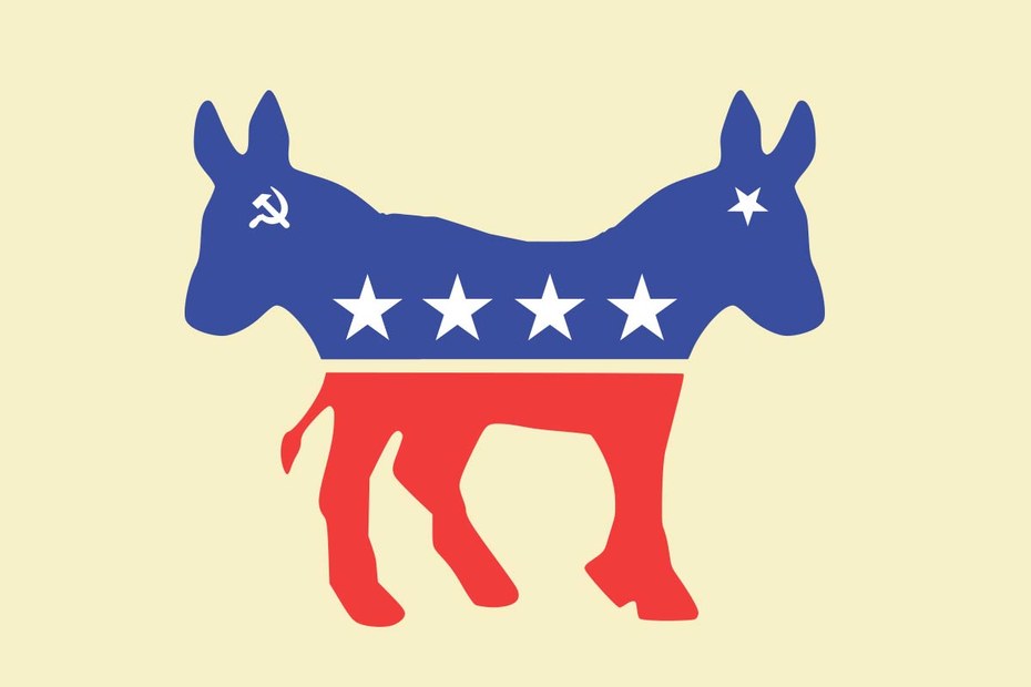 Der Esel, das Wappentier der Demokraten, weiß nicht mehr recht, wohin mit sich