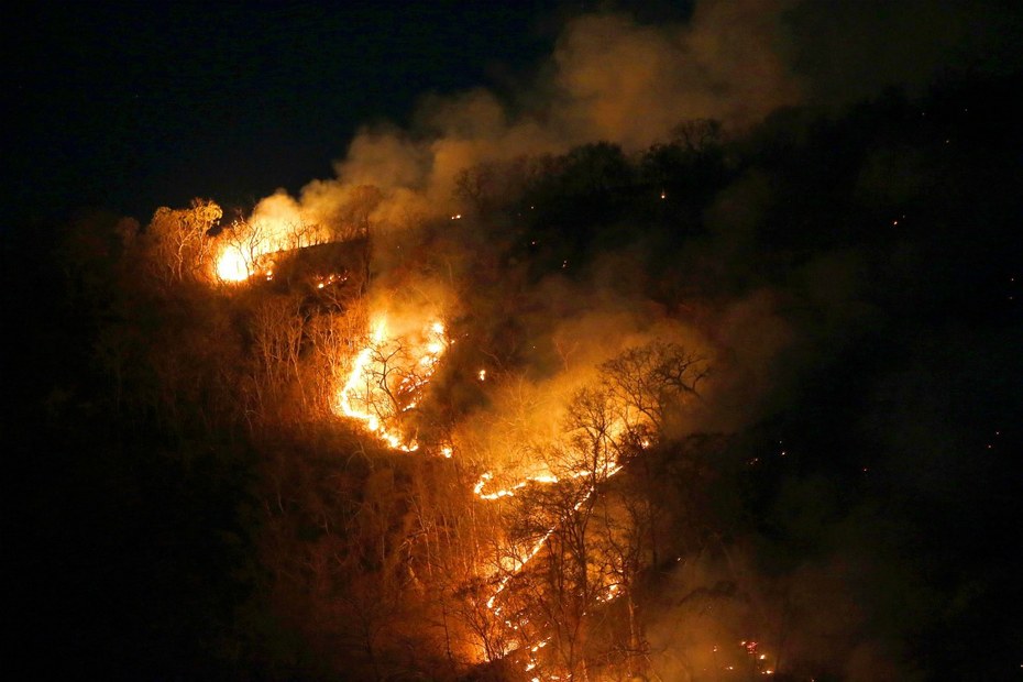 Waldbrände wüten in Tocantins, Brasilien