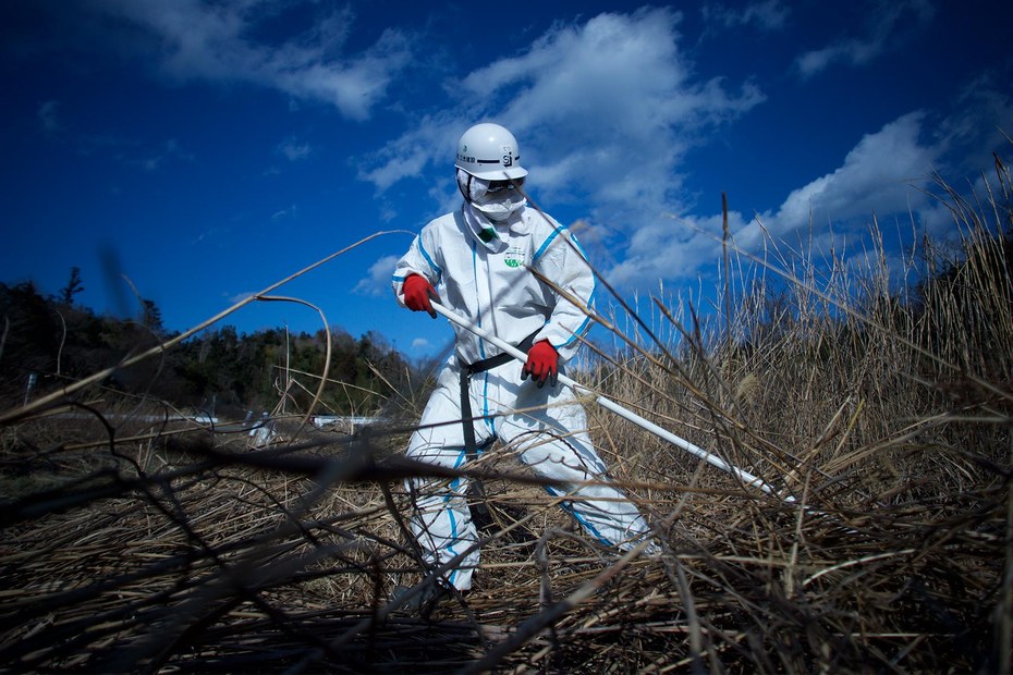 2016, Präfektur Fukushima: Ein Arbeiter mäht radioaktiv verseuchtes Schilfgras