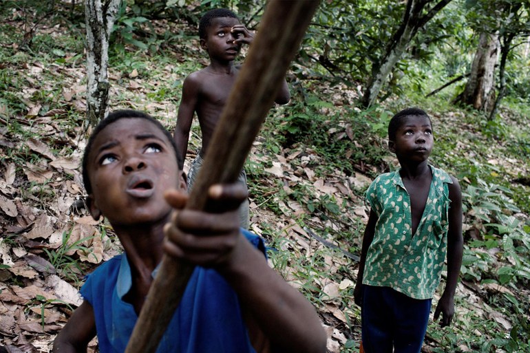 Elfenbeinküste: Die Geißel der Kinderarbeit soll ihren Schrecken verlieren