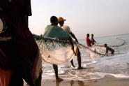 Sierra Leone: Fischer im Überlebenskampf