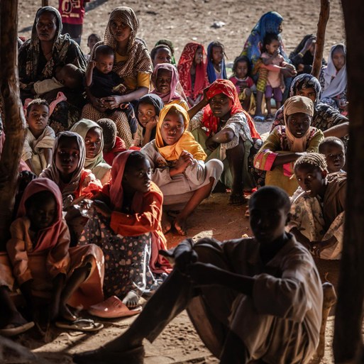 Über eine halbe Million Sudanesen haben Zuflucht im Tschad gefunden