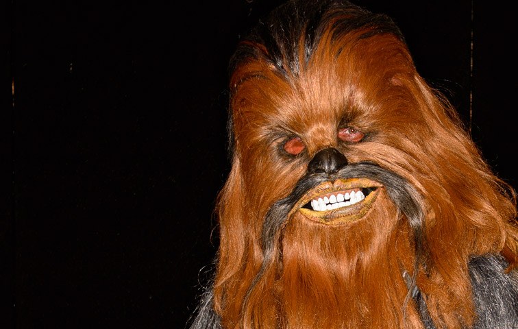 Schönheitsideal vom Planeten Kashyyyk: Chewbacca