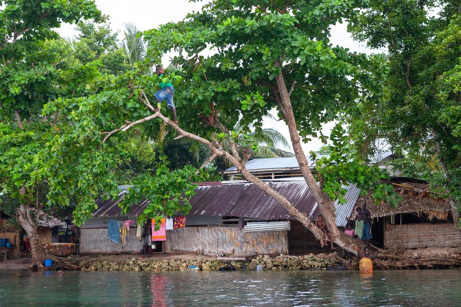 So schützt man sich in Bougainville, Papua-Neuguinea, gegen den Anstieg der Meere