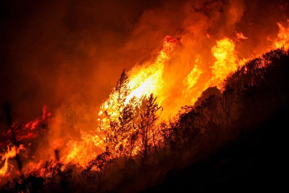Mit den Hitzewellen und der Dürre nehmen auch die Waldbrände zu