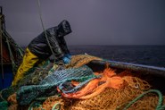 Plastik: Verlieren Fischer ihre Netze im Meer, hat das tödliche Folgen