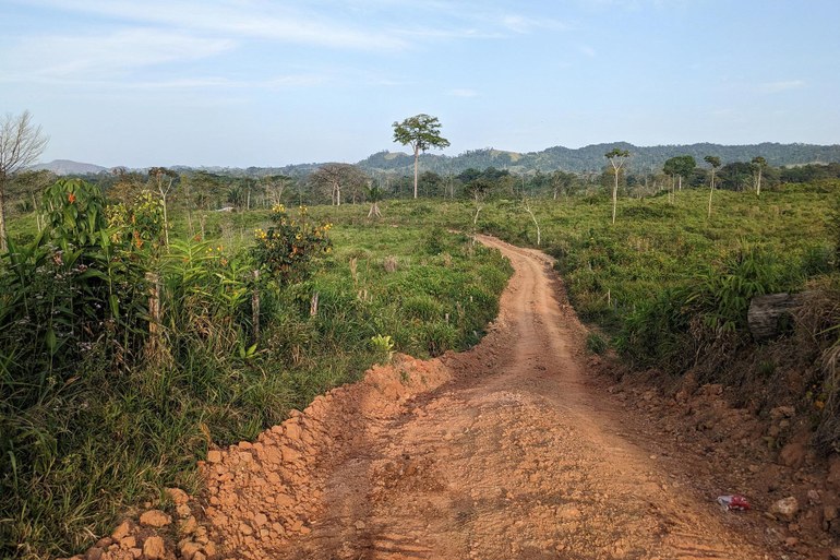 Regenwaldabholzung in Honduras: Das sind die Folgen des Kokainkonsums im Westen
