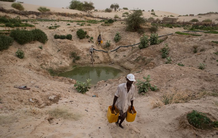 Solange der Grundwasserspiegel nicht fällt, sind Kratergärten Oasen für Timbuktu