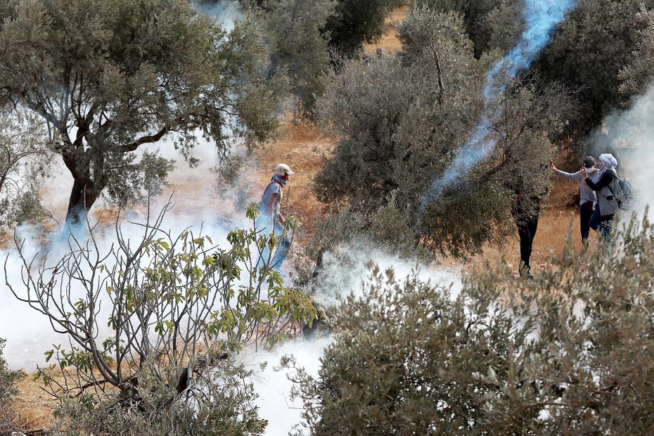 Tränengasschwaden der israelischen Armee umhüllen Palästinenser bei der Olivenernte, dabei unterstützt von internationalen Friedensaktivisten: Westjordanland, Mitte Oktober, nahe der illegalen israelischen Siedlung Ma'on.