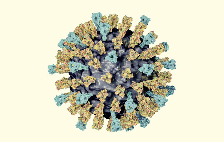 Jedes Mal, wenn das Masernvirus verstärkt auftaucht, wird eine Impfpflicht diskutiert