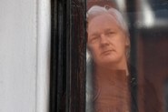 Julian Assange: Frische Luft täte dem Mann gut