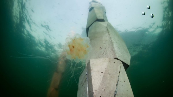Bauen, Zweifeln, Weiterdenken