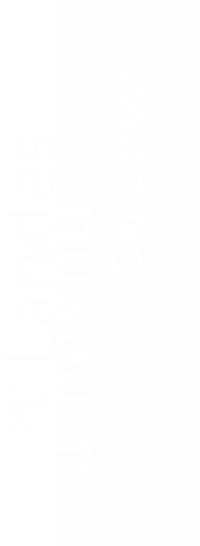 Drachen