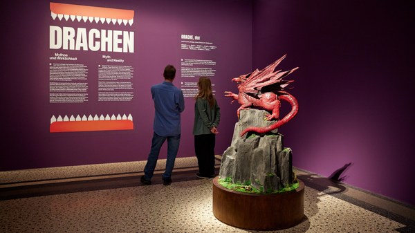 Zwei Personen stehen vor einem Beschreibungstext zu „Drachen – Mythos und Wirklichkeit“. Rechts von Ihnen steht eine rote Drachenfigur auf einem Sockel.