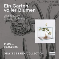 Ein Garten voller Blumen