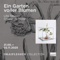 Ein Garten voller Blumen