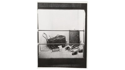Bezeugen und erzählen: Bilder befreiter Lager